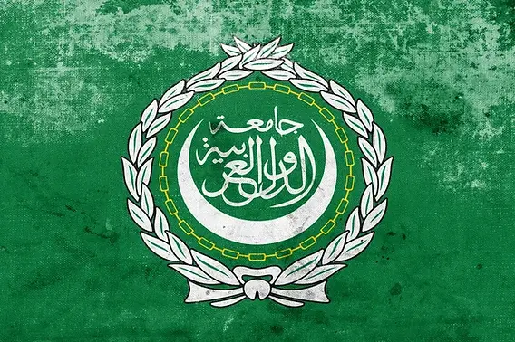 الوثائق الأساسية لجامعة الدول العربية