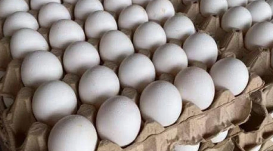 اختفاء البيض من أسواق قطاع غزة في أول أيام شهر رمضان