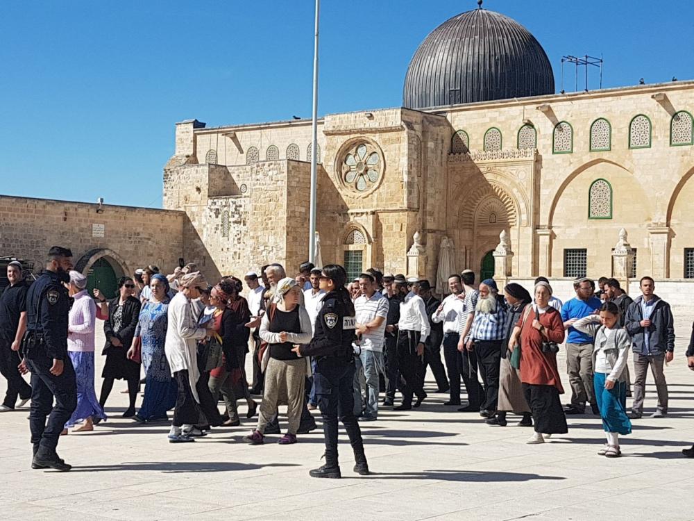 144 مستوطنًا يقتحمون الأقصى ودعوات لاقتحام واسع بداية “الشهر العبري”