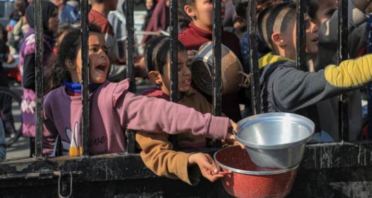 الشوا: تراجع المساعدات في غزة يهدد بعودة المجاعة ويفاقم الأزمة الإنسانية