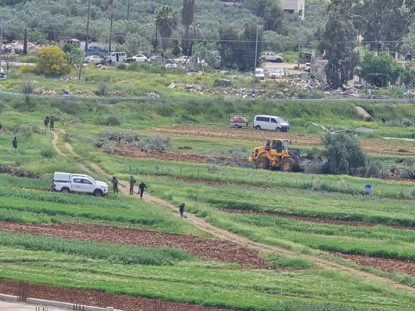 لليوم الثاني: الاحتلال يقتلع عشرات الأشجار المثمرة في اللبن الشرقية جنوب نابلس