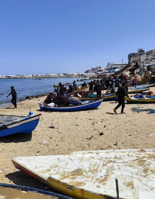 رئيس النقابة العامة للعاملين في الصيد والإنتاج البحري، زكريا بكر يكشف عن حجم التدهور الكارثي الذي أصاب قطاع الصيد في قطاع غزة، نتيجة العدوان الإسرائيلي المتواصل،