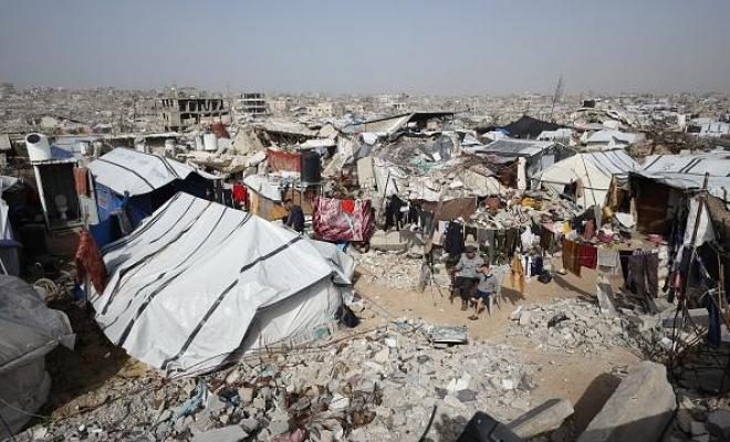 خطة أممية شاملة لمكافحة القوارض والحشرات في غزة قريباً