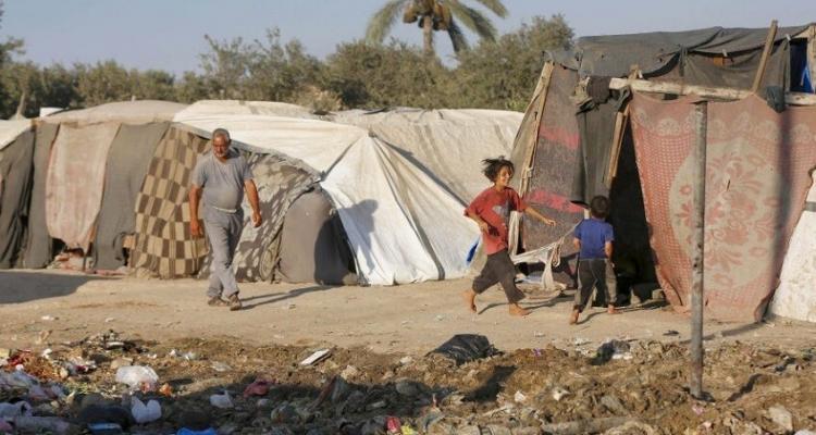 الشوا يحذر من تداعيات خطيرة نتيجة انتشار الحشرات والقوارض في مخيمات النزوح بغزة