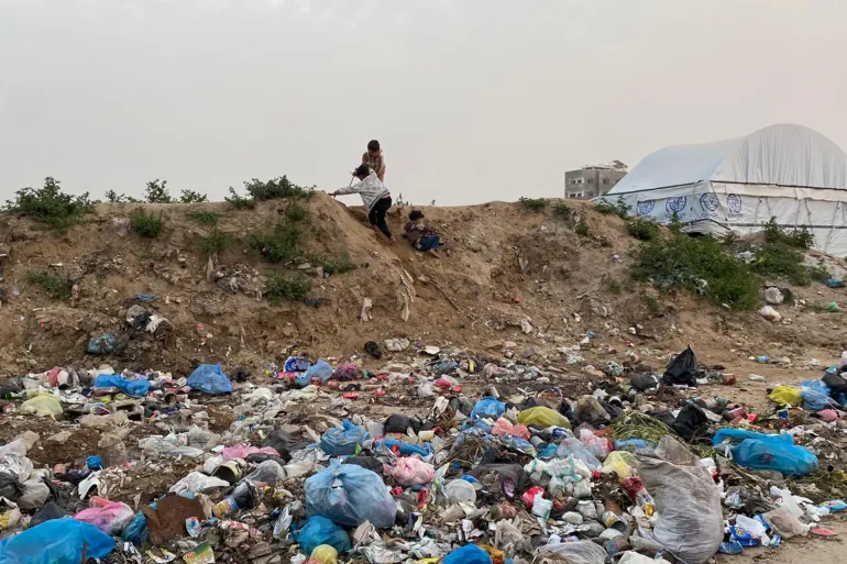 المملوك: انتشار البراغيت والبعوض والحشرات في غزة نتيجة حتمية للظروف البيئية والصحية التي يعيشها سكان قطاع غزة
