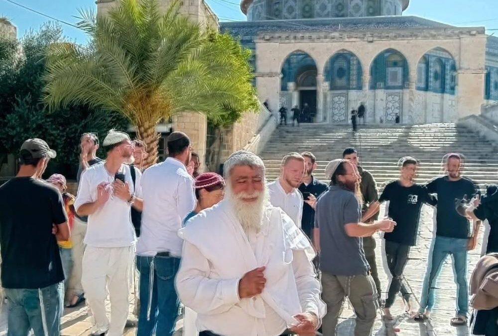 242 مستوطنًا يقتحمون باحات الأقصى