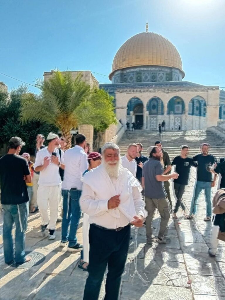 242 مستوطنًا يقتحمون باحات الأقصى