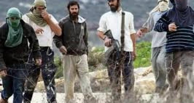 15 شهيدا في اعتداءات المستوطنين منذ مطلع العام الجاري