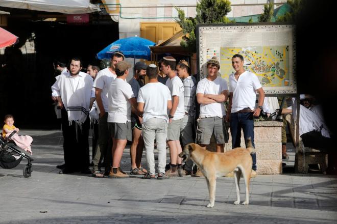 تقرير الاستيطان الأسبوعي: أكثر من مليار شيقل لطرق المستوطنات ومخططات جديدة تعمّق الضم في الضفة والقدس