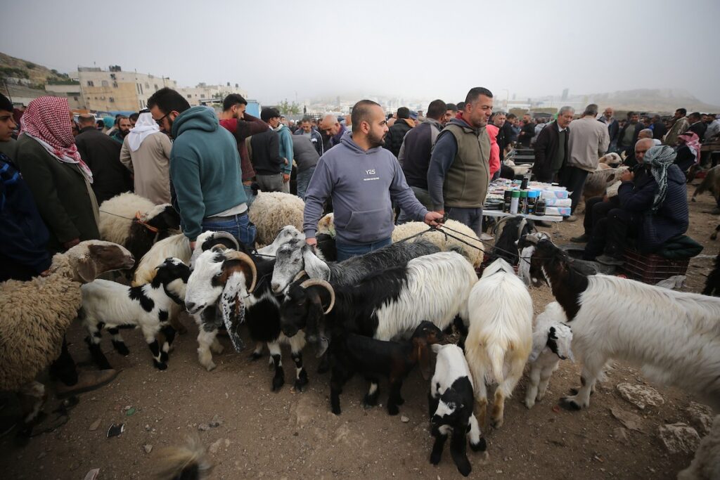 الأسواق الفلسطينية تحت ضغط الأزمة المالية: ركود حاد قبل العيد وتراجع القدرة الشرائية يربك التجار والمستهلكين
