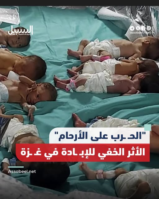 البرش: إن ما تكشفه بيانات الولادات في القطاع؛ لا يُعد مجرد تغير ديموغرافي عابر