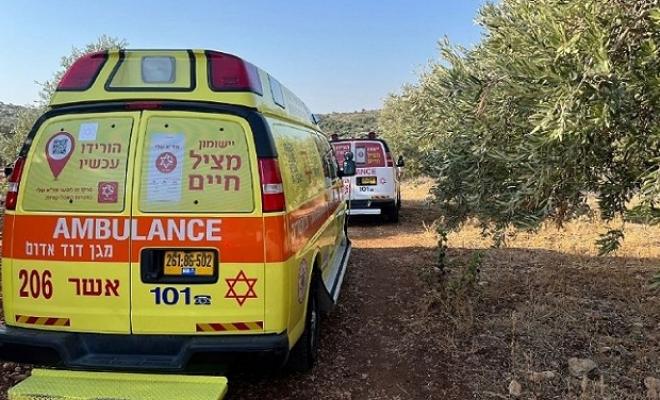 قتيلان من بلدتي بقعاثا وحرفيش بجريمة إطلاق نار في الجولان