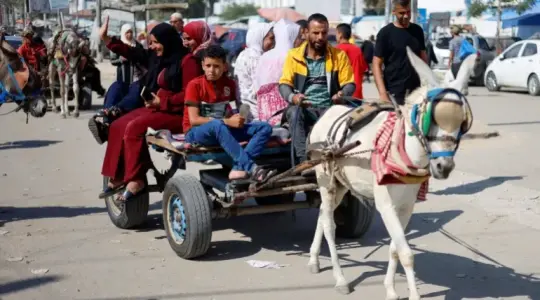 “الحمار” في غزة.. 30 ألف شيكل!