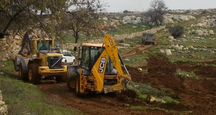 فلسطين بلا ميرمية “عطارة” هذا العام .. موسم يغيب بسبب عنف المستوطنين والاحتلال