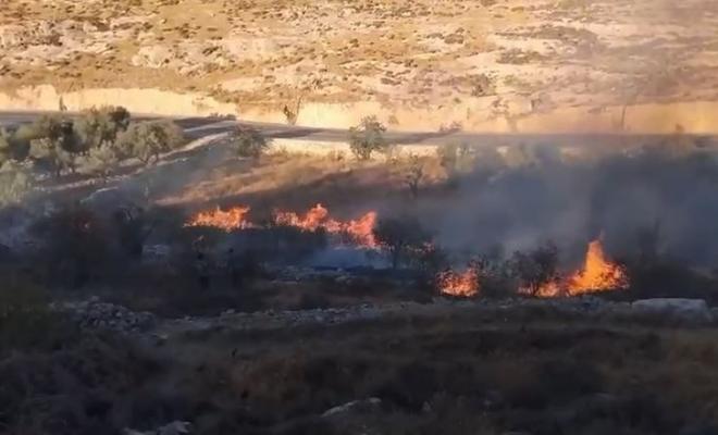هيئة الجدار: المستوطنون أشعلوا 799 حريقا في الضفة حتى تموز الماضي