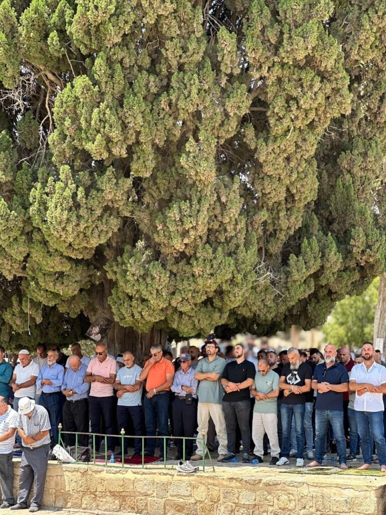 70 ألفا يؤدون الجمعة في المسجد الأقصى رغم إجراءات الاحتلال