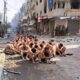 اليوم الدولي لضحايا الاختفاء القسري.. نحو 3 آلاف مواطن مجهولو المصير في غزة