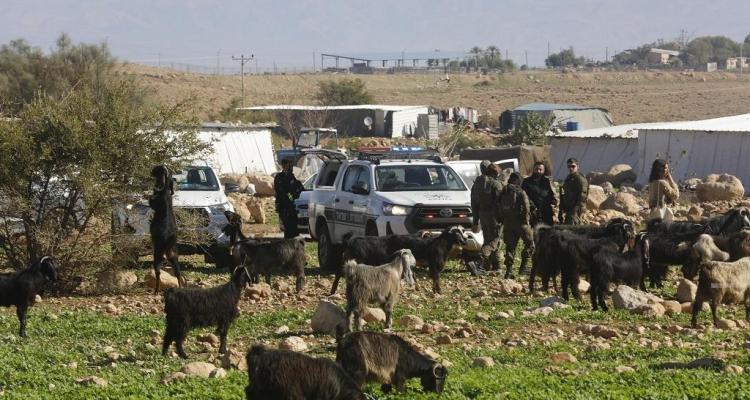 33 بؤرة رعوية استيطانية في الضفة منذ بداية العام.. وتصعيد ممنهج لمنع التوسع الفلسطيني