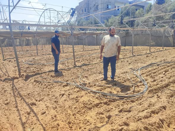 تأخر زراعة الدفيئات الزراعية في المحافظة الوسطى نتيجة نقص المستلزمات الزراعية