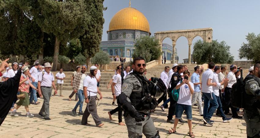 1236 مستوطناً اقتحموا باحات الأقصى خلال أسبوع