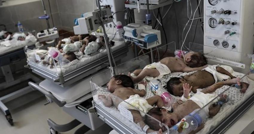 5493 مولودًا جديدًا في غزة خلال آب مقابل 203 حالات وفاة
