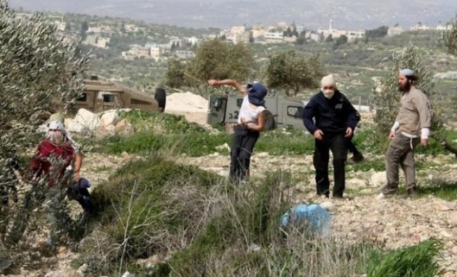 7 اعتداءات إسرائيلية على المزارعين في 4 محافظات بالضفة