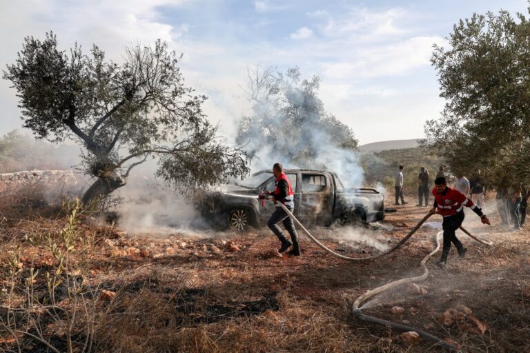 “حرب الزيتون” في الضفة الغربية… من سرقة المحصول إلى الاستيلاء على الأرض